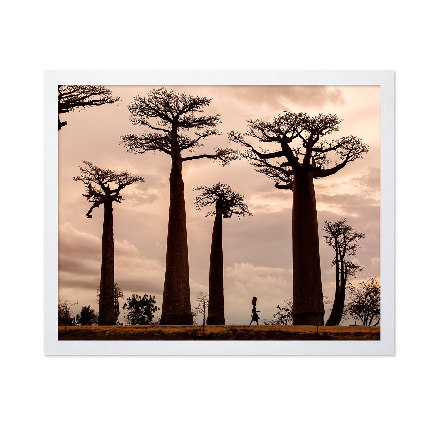 Madagascar