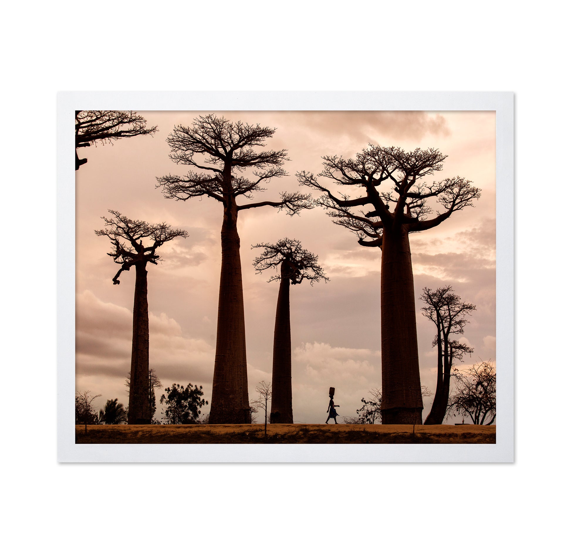 Madagascar