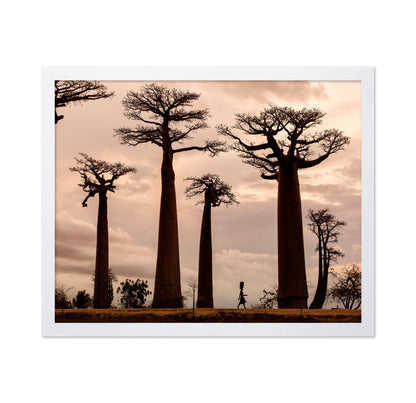 Madagascar