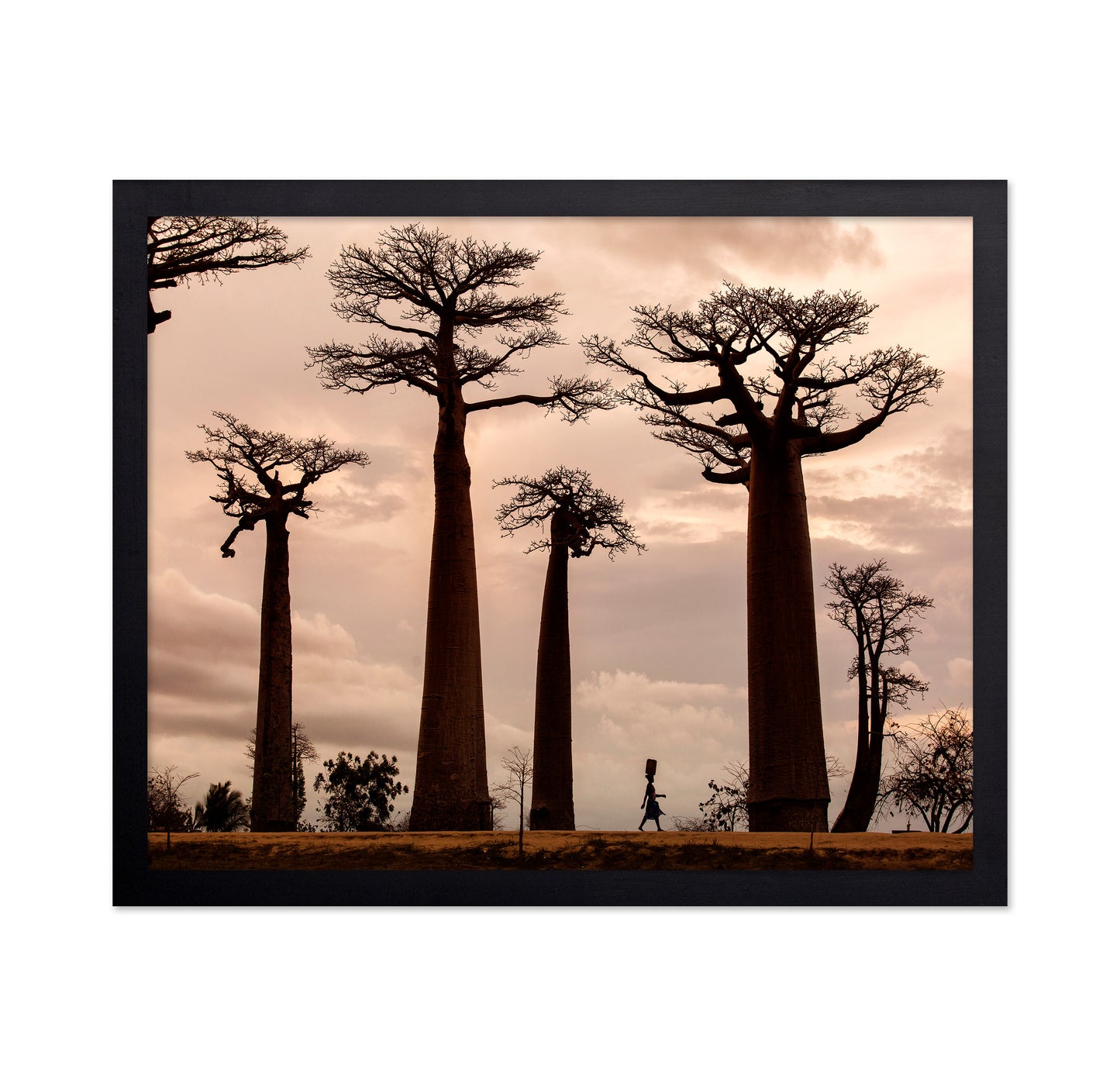 Madagascar