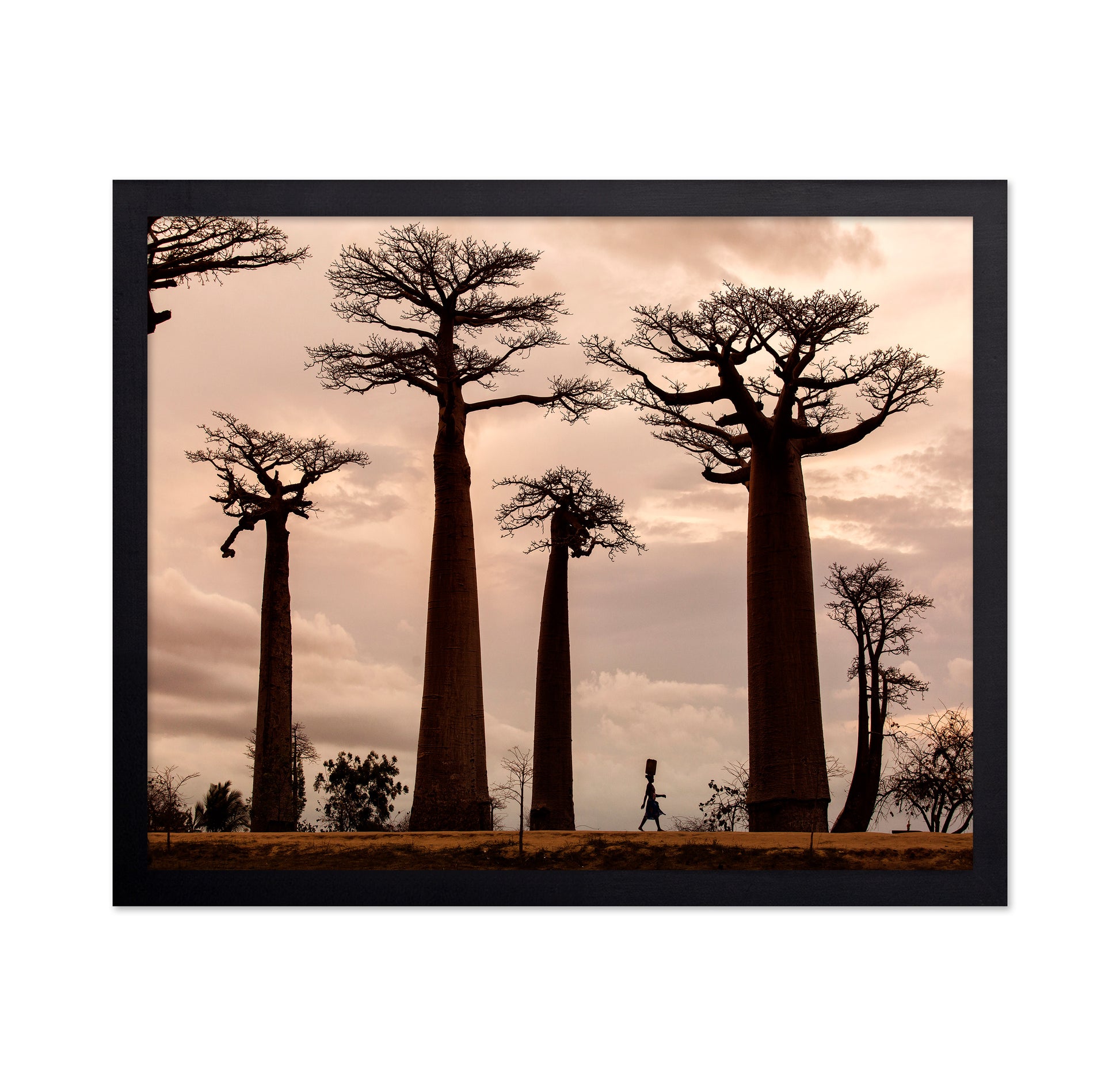 Madagascar