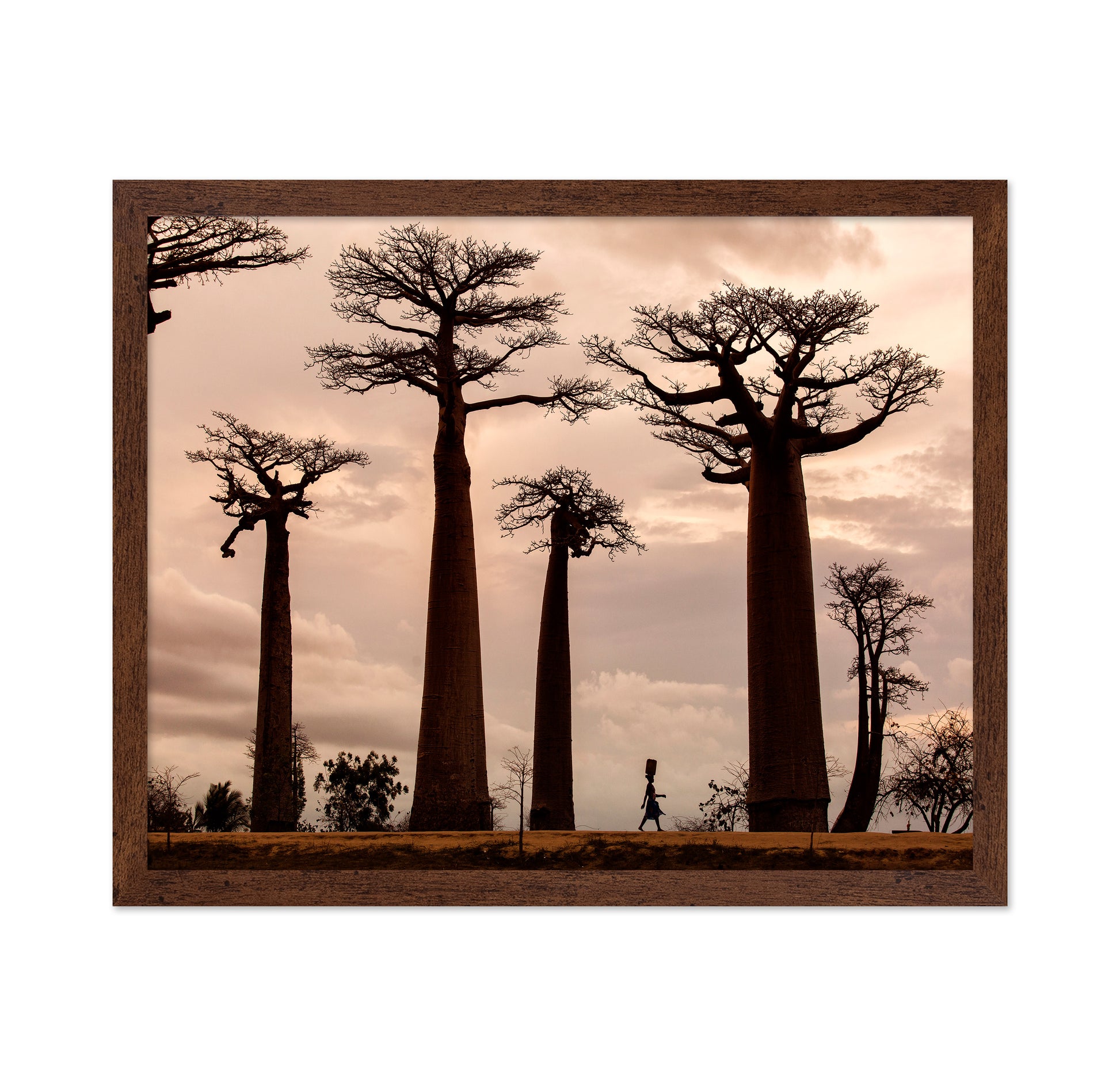Madagascar
