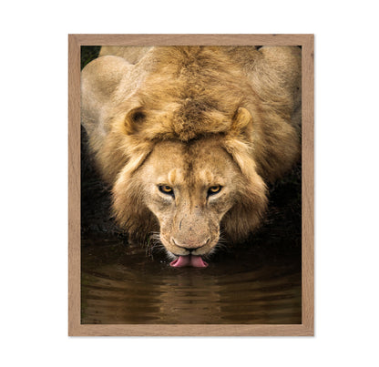 The Lion