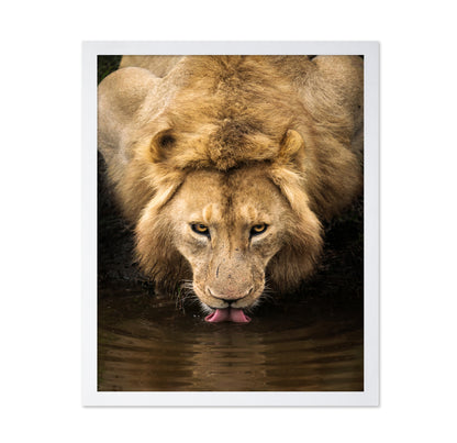 The Lion