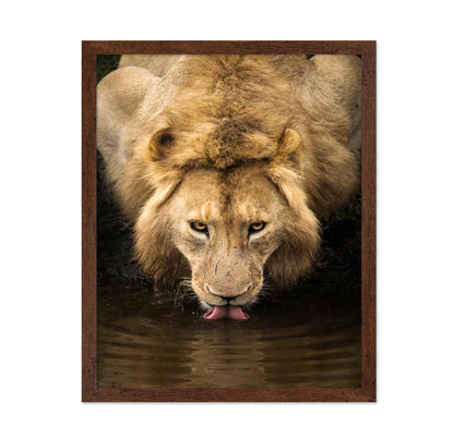 The Lion