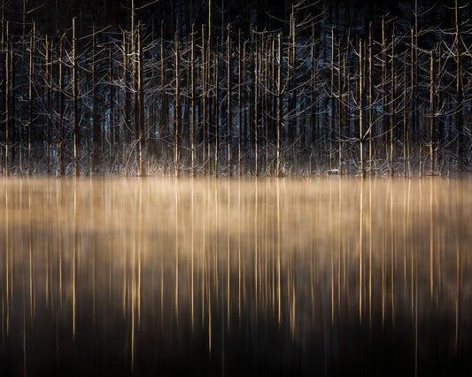 Cuejdel Lake No 3