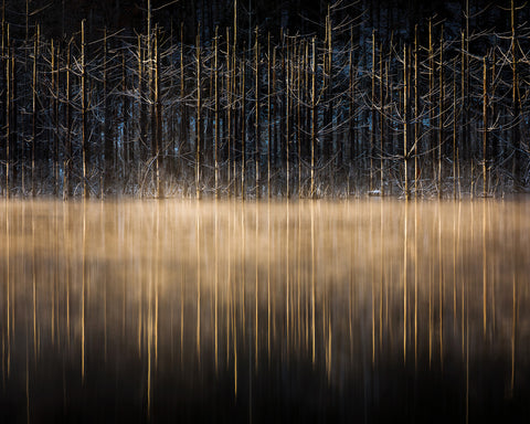 Cuejdel Lake No 3