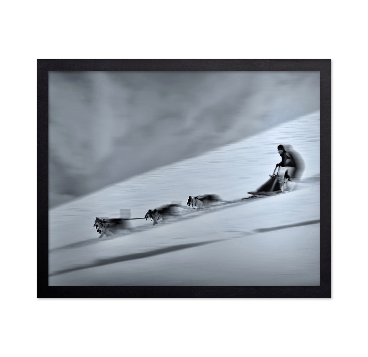 Mushing
