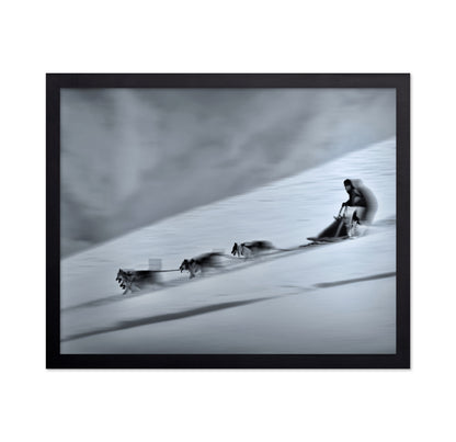 Mushing