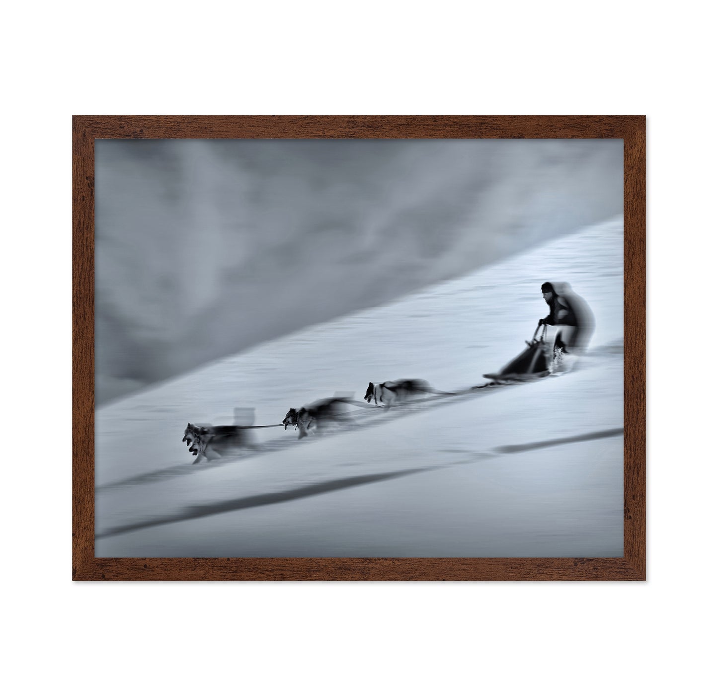 Mushing