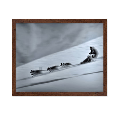 Mushing