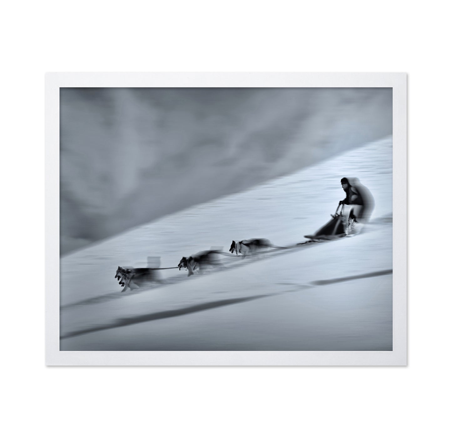 Mushing