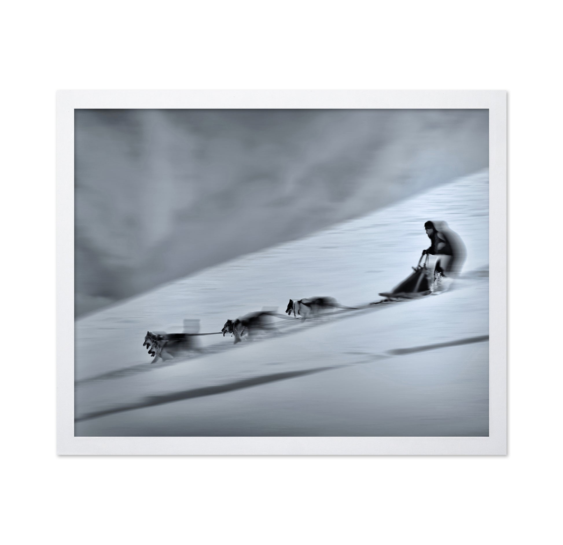 Mushing