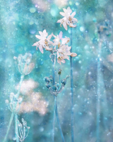 The Complex Magic Of Nature