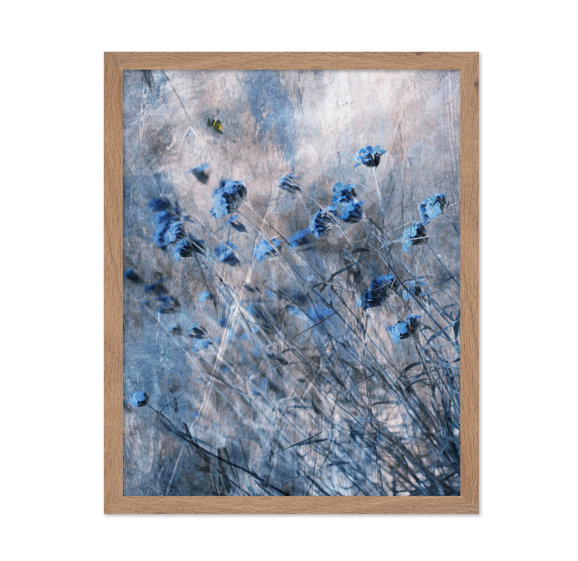 Blue Flowers