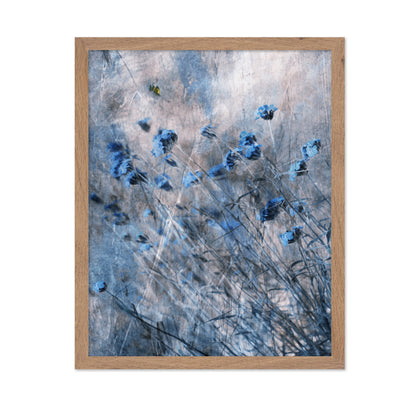 Blue Flowers