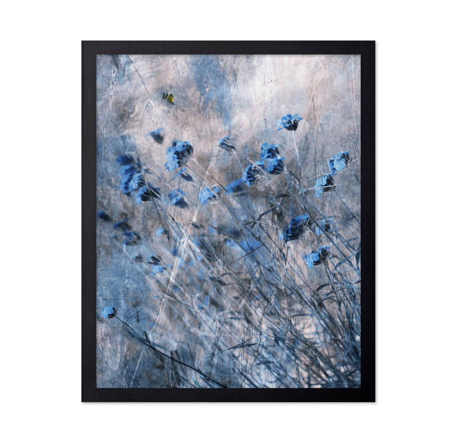 Blue Flowers