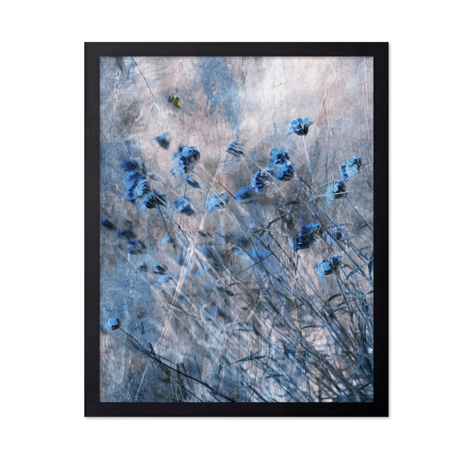 Blue Flowers