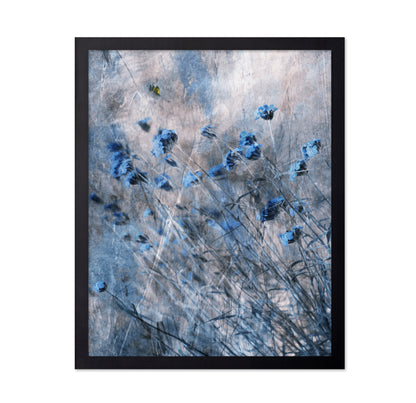 Blue Flowers