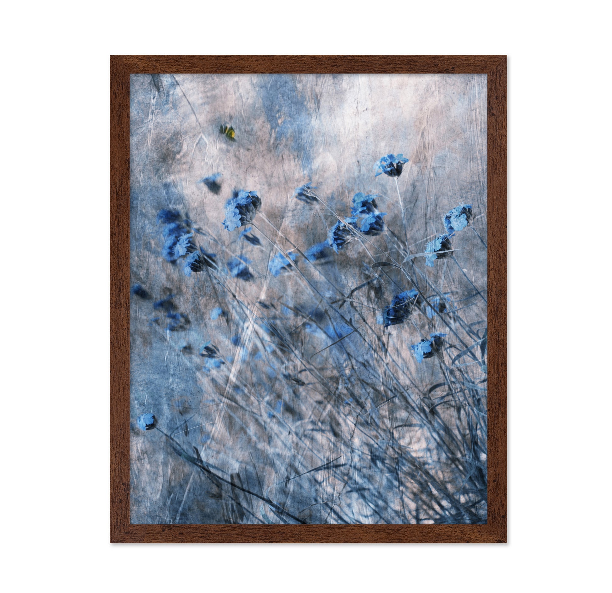Blue Flowers