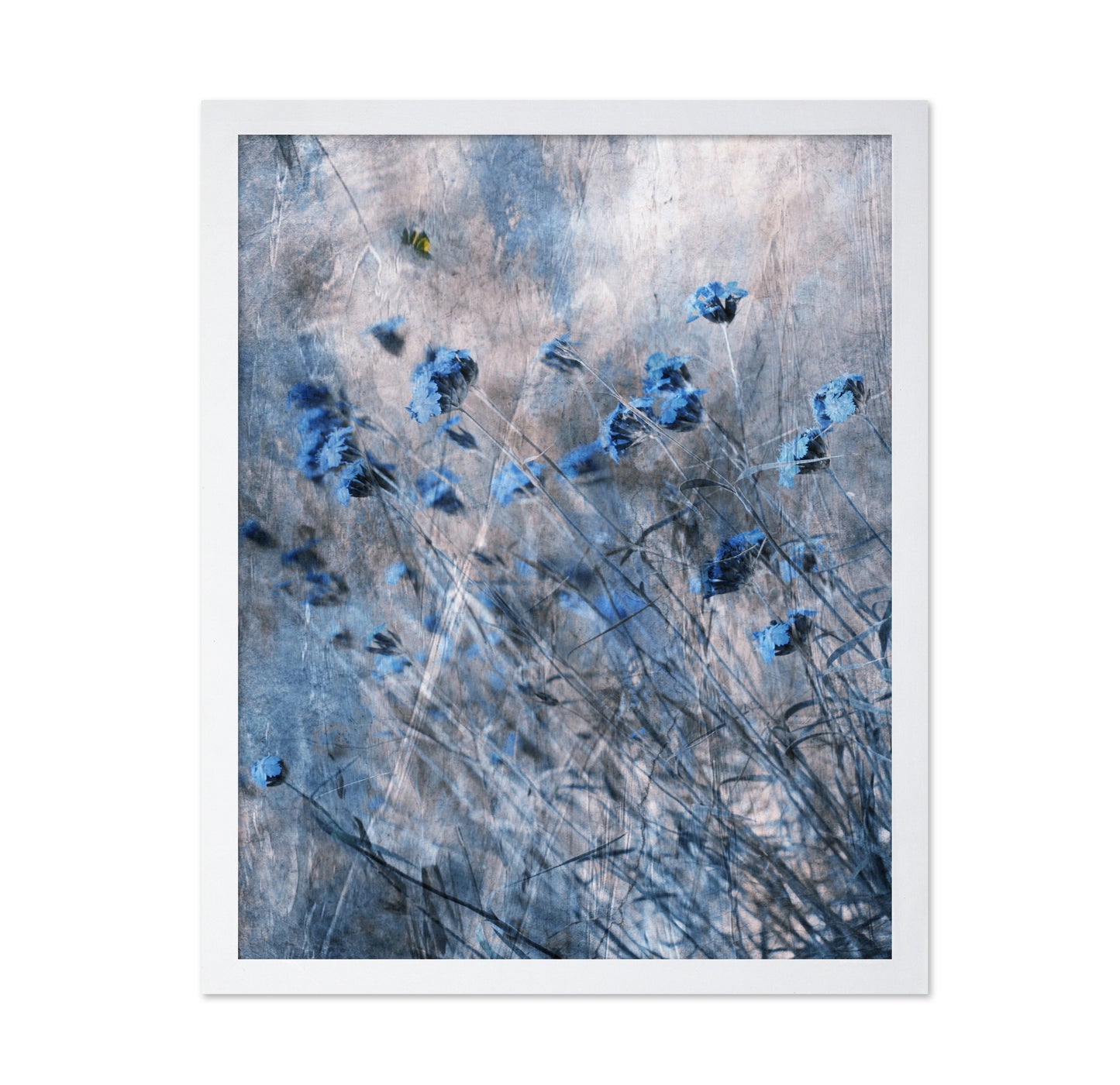 Blue Flowers