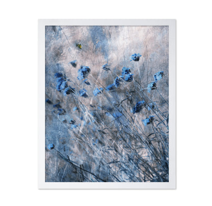 Blue Flowers