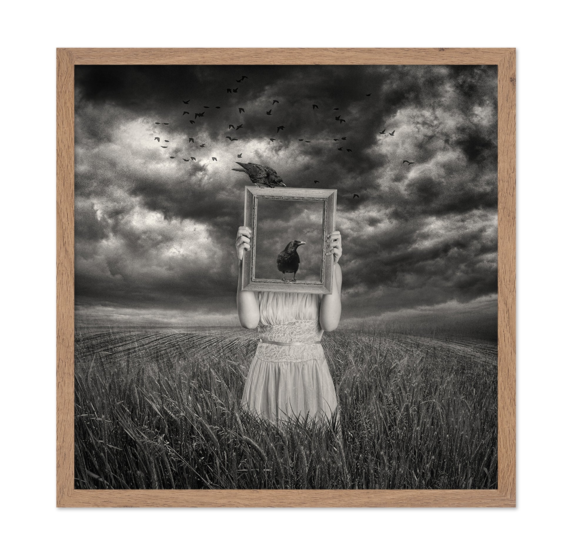 The Scarecrow