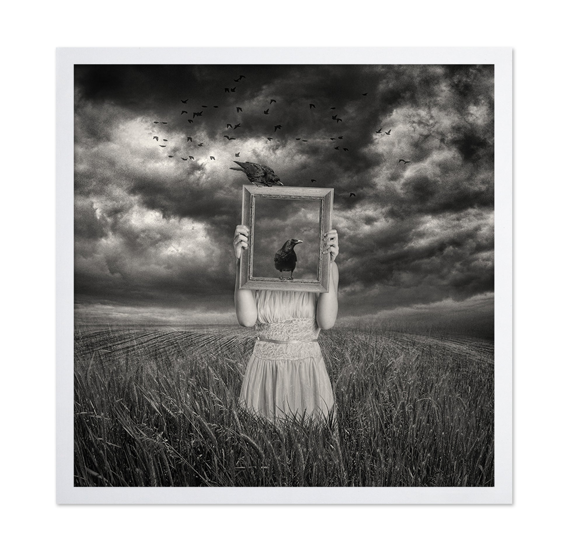 The Scarecrow