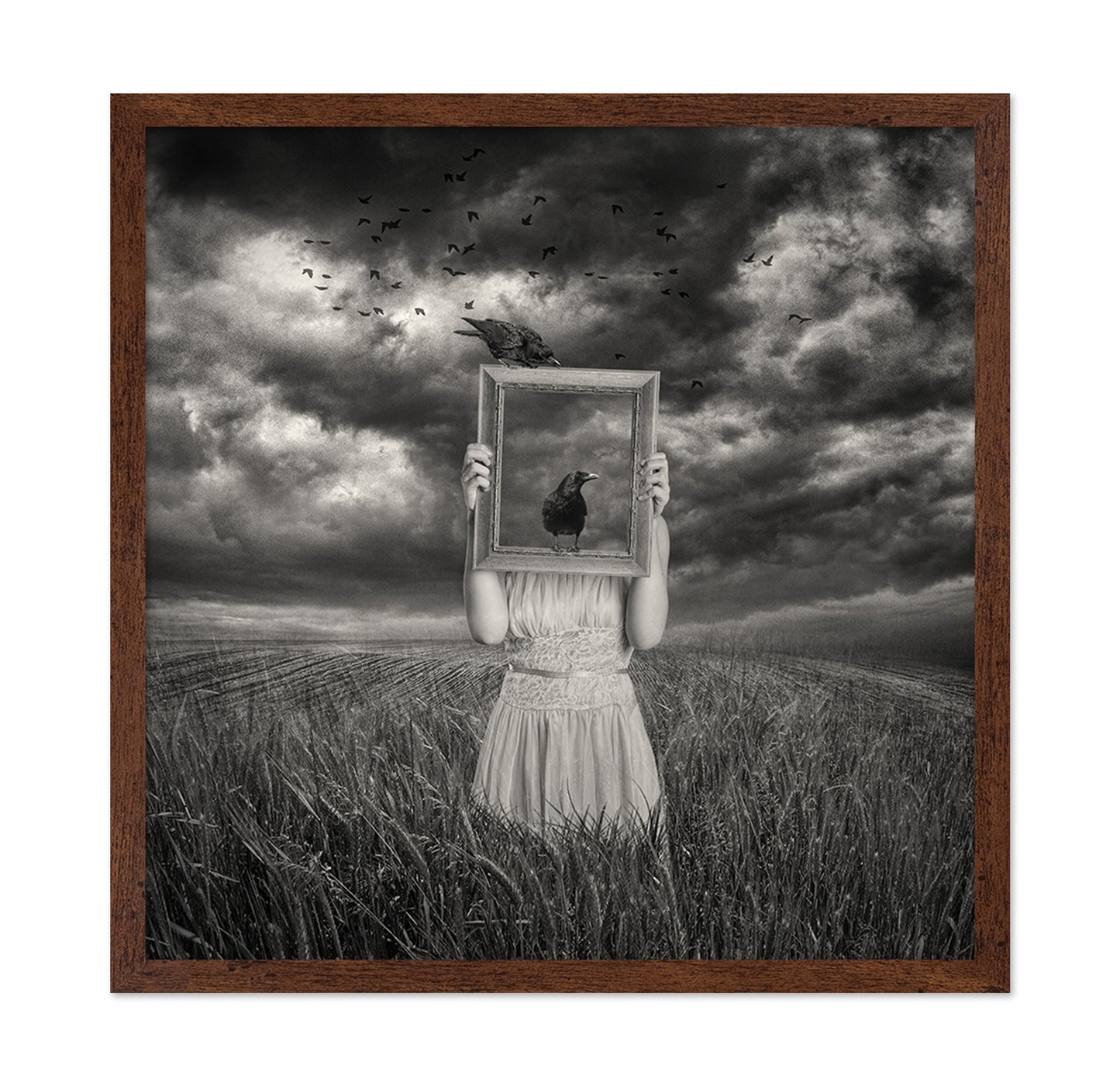 The Scarecrow