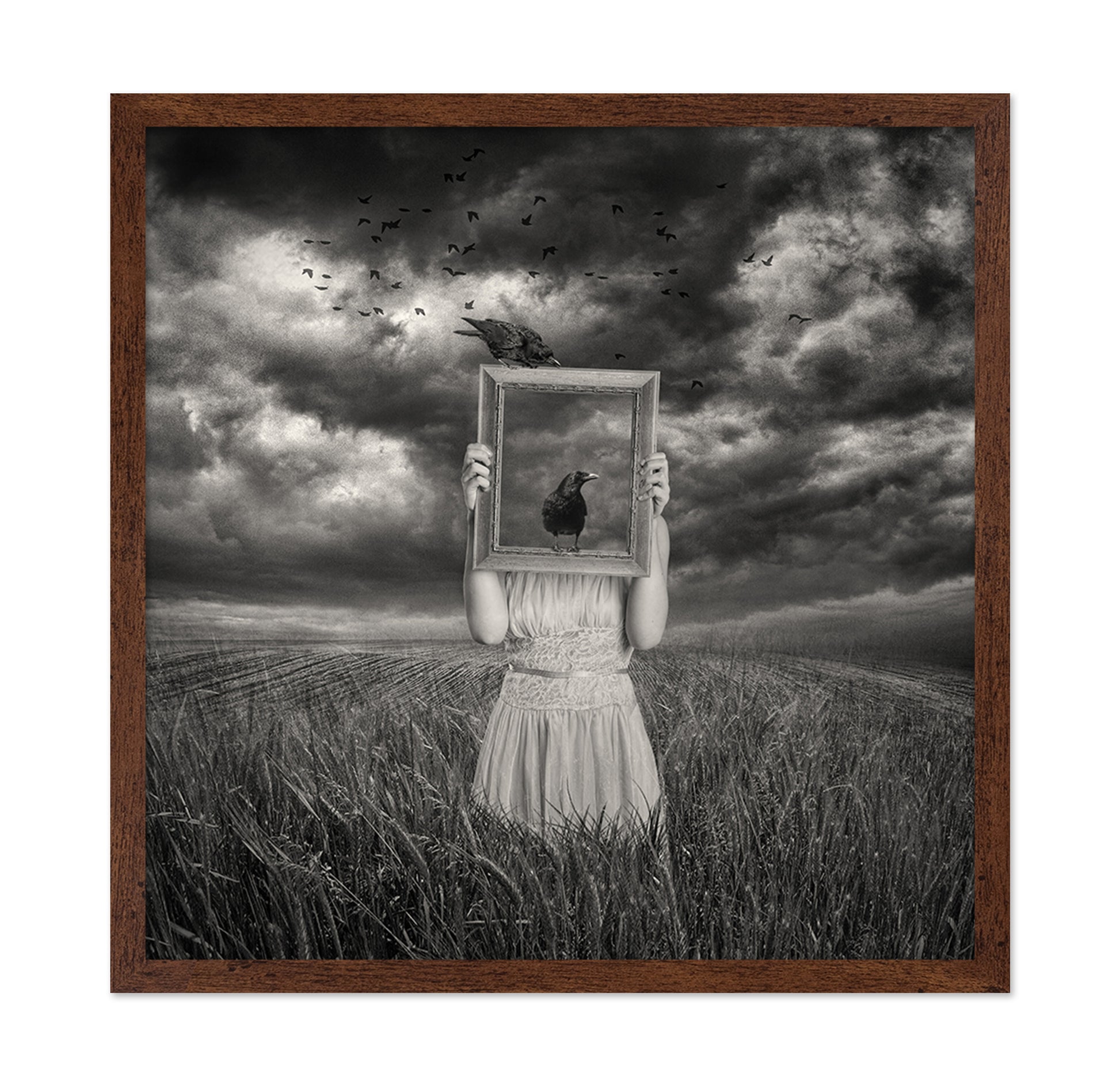The Scarecrow