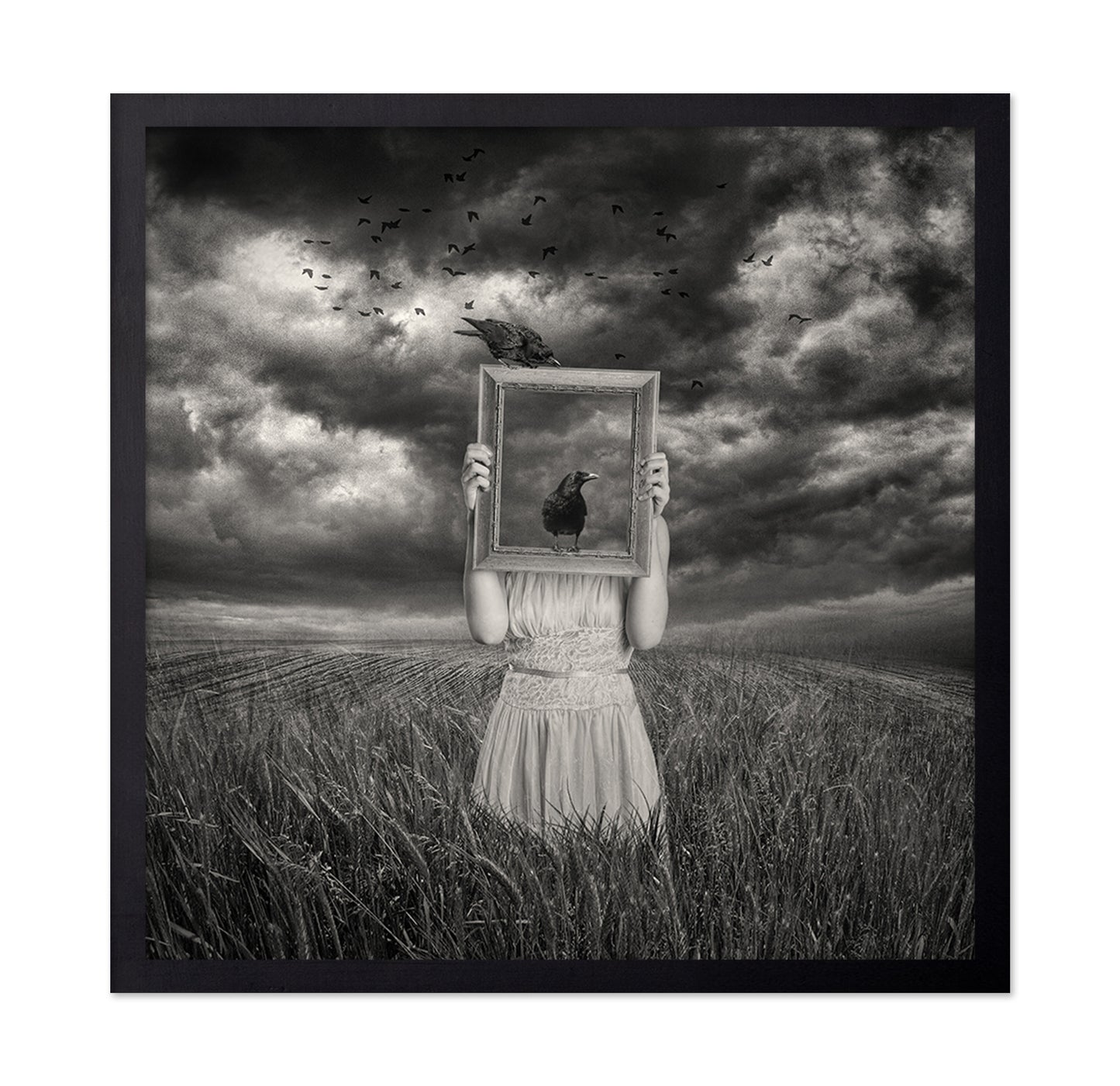 The Scarecrow