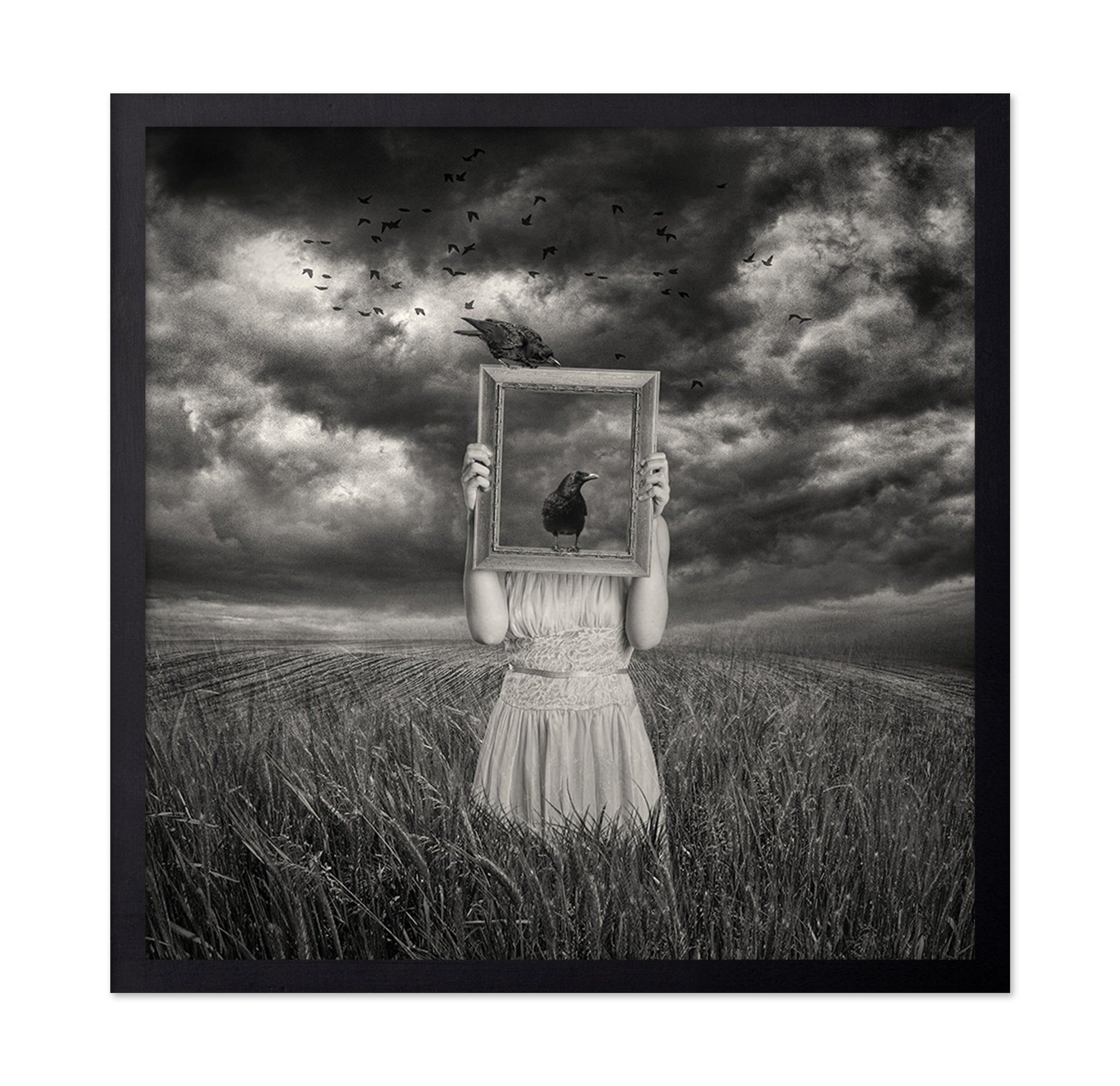 The Scarecrow