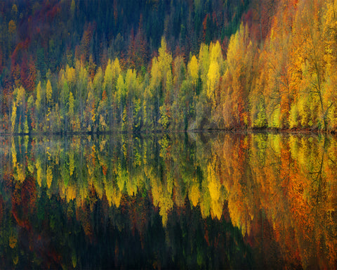 Autumnal Silence