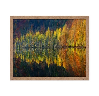 Autumnal Silence