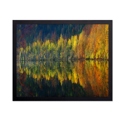 Autumnal Silence