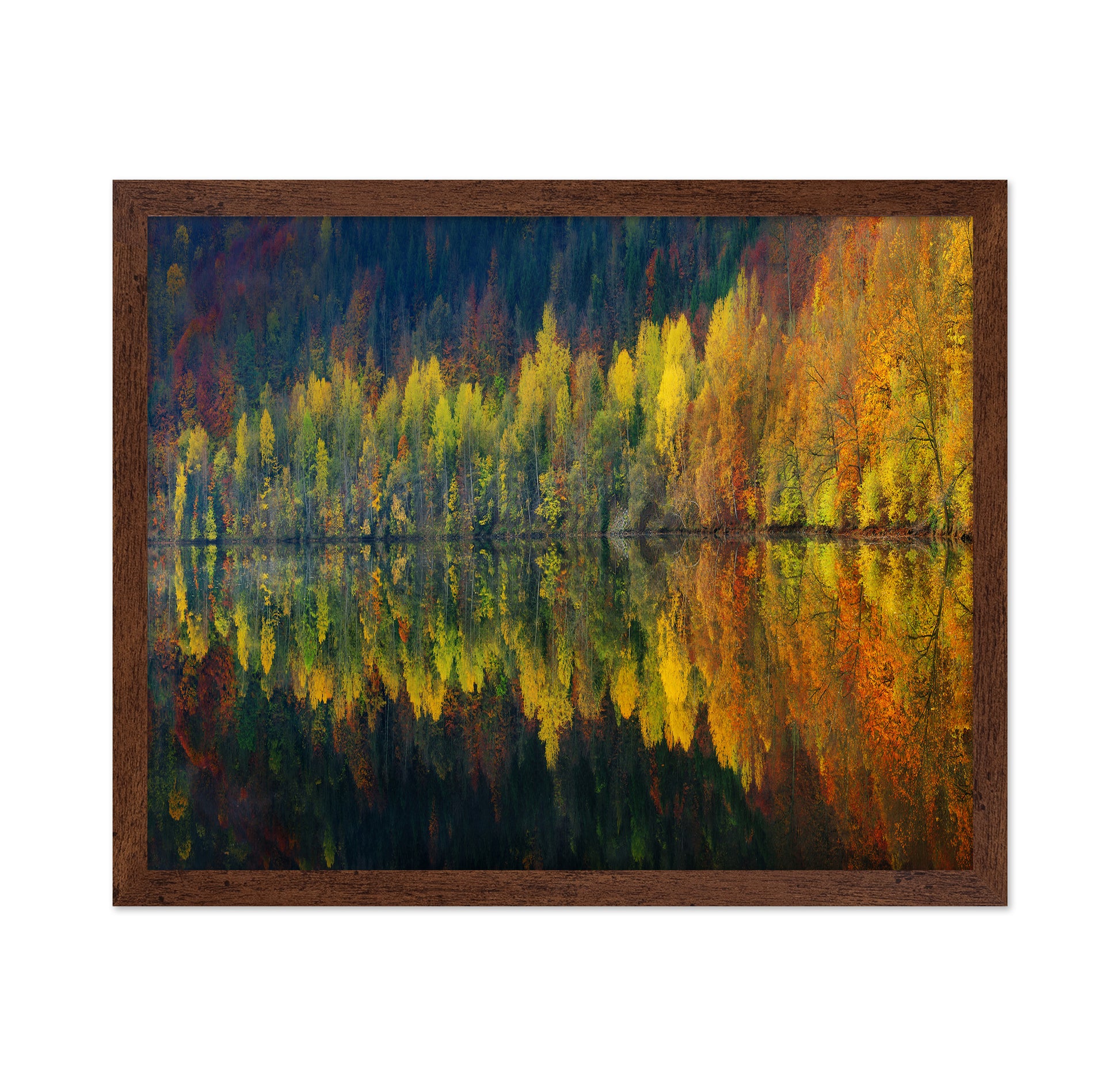 Autumnal Silence