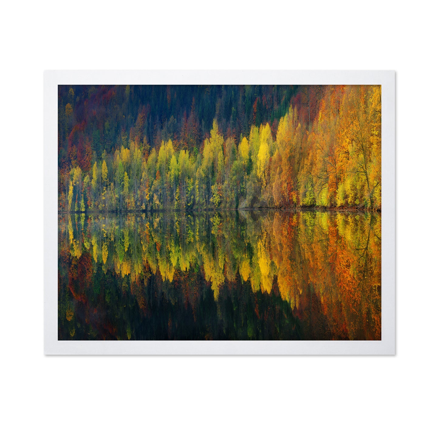 Autumnal Silence