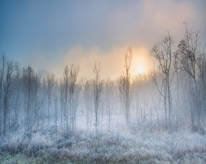 A Touch Of Winter