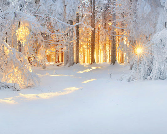 Golden Winter Morning