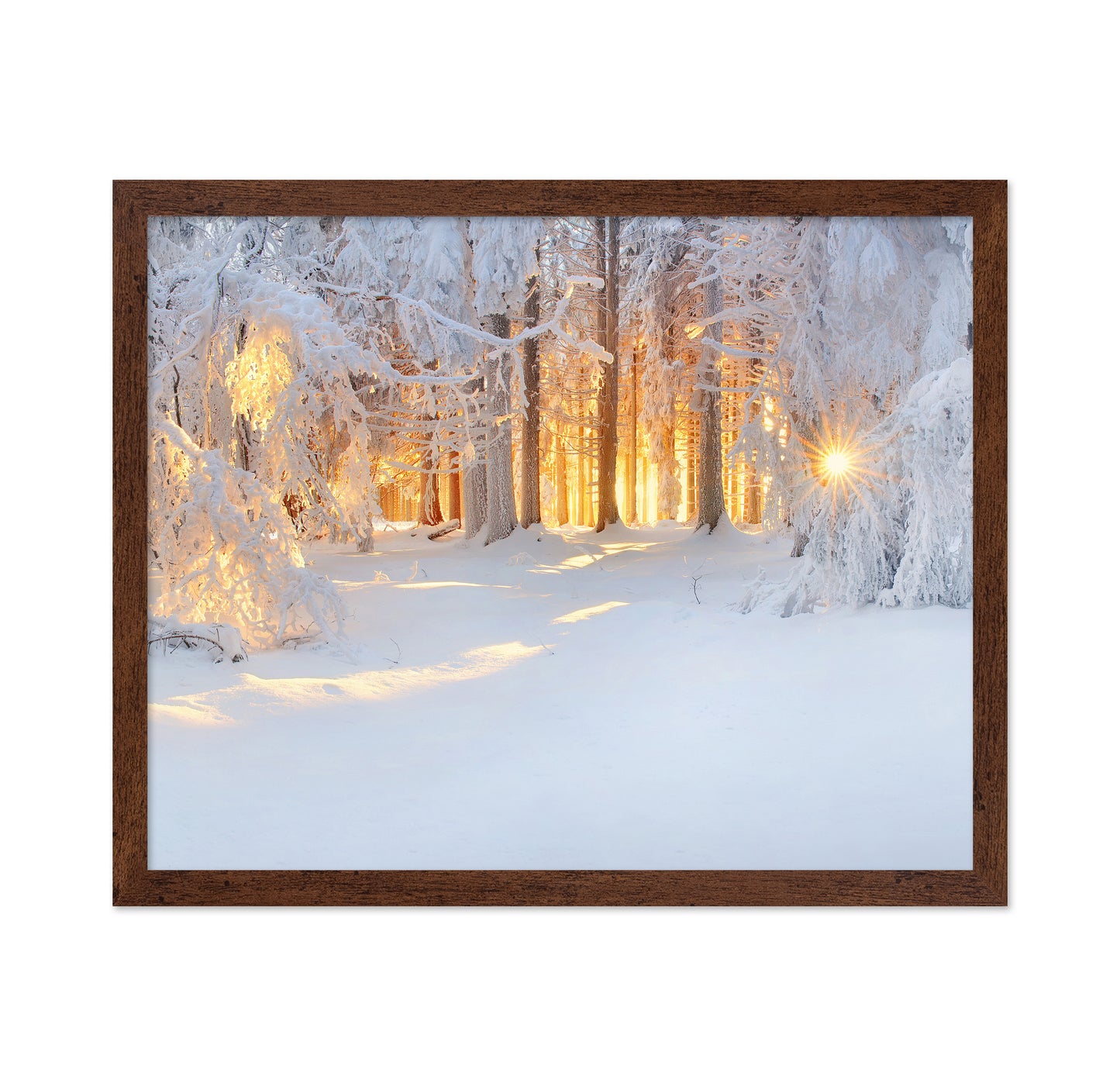 Golden Winter Morning