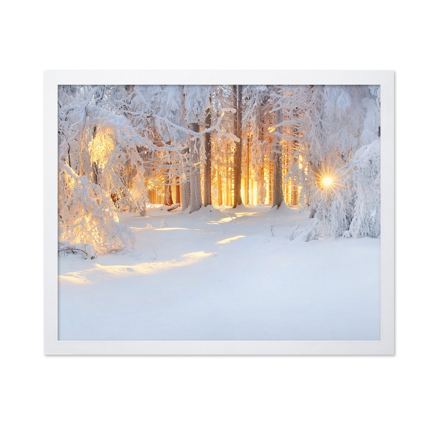 Golden Winter Morning