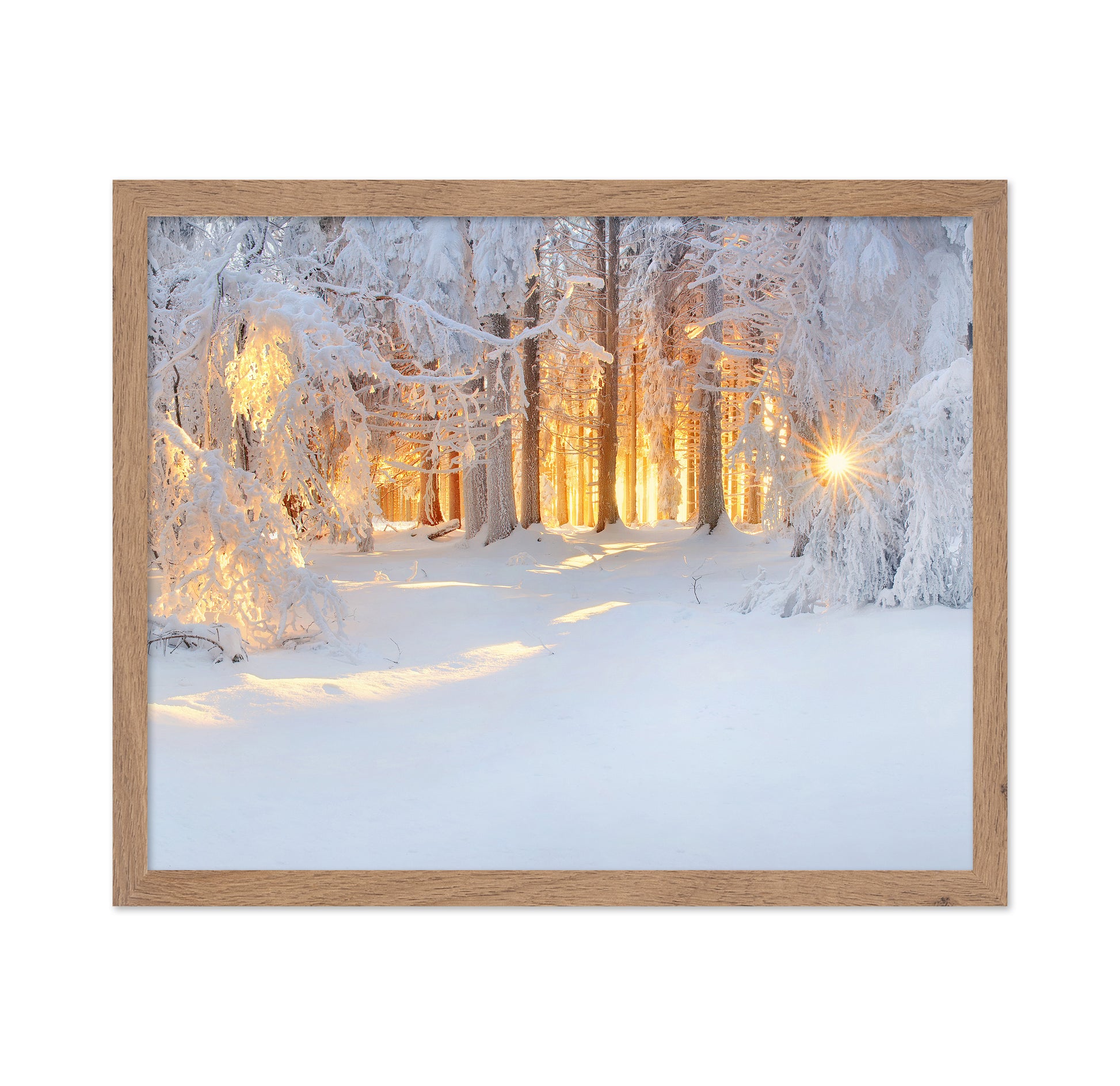 Golden Winter Morning