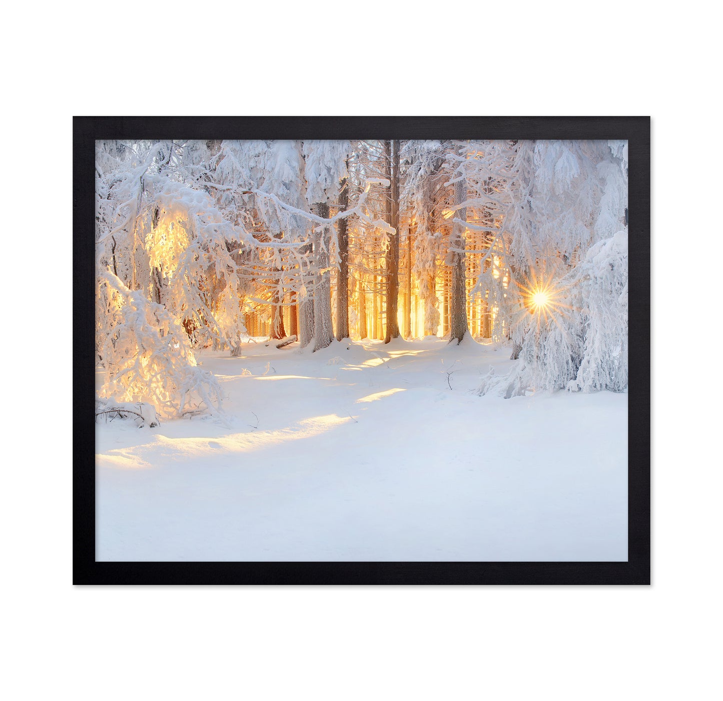Golden Winter Morning