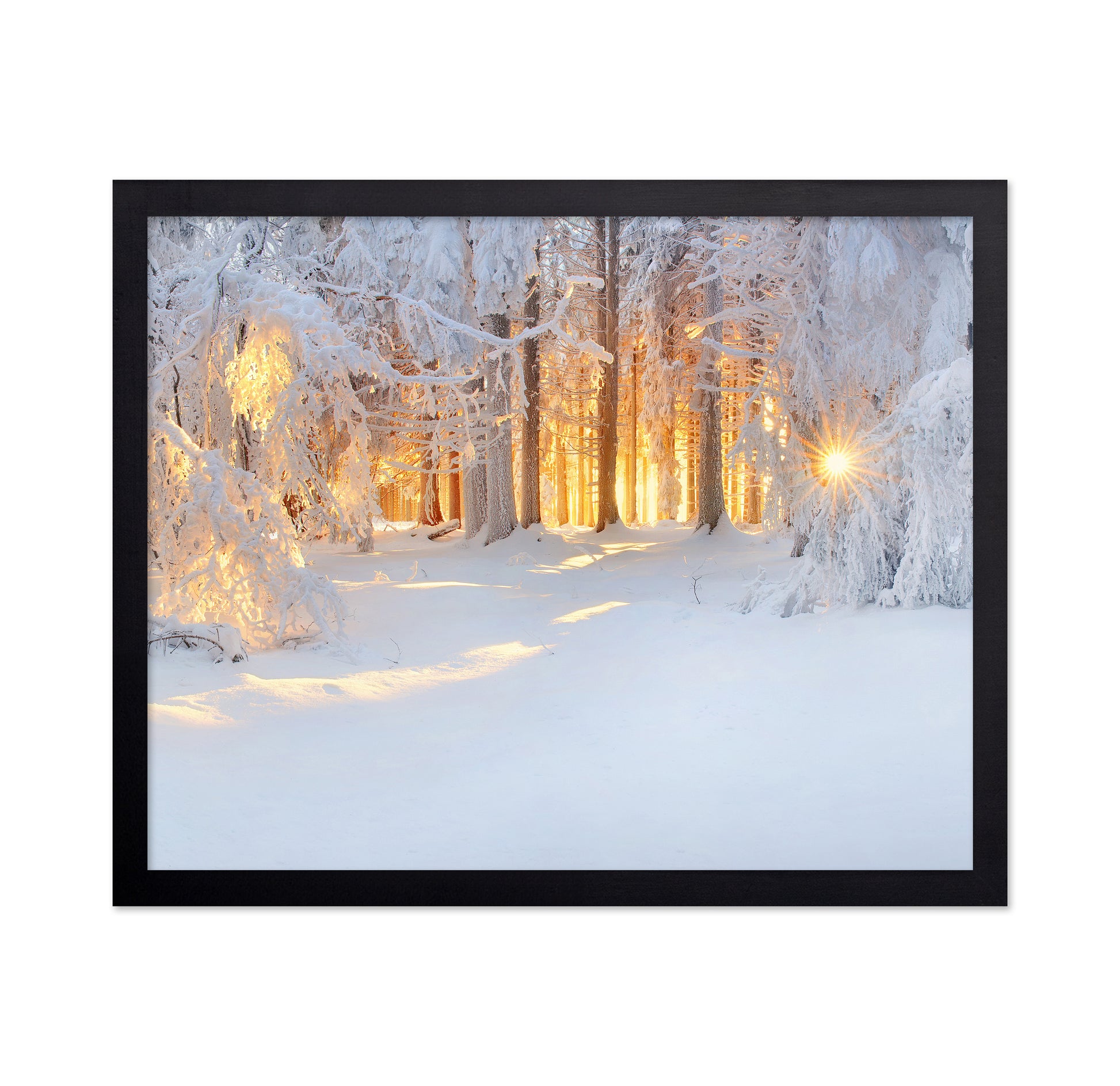 Golden Winter Morning
