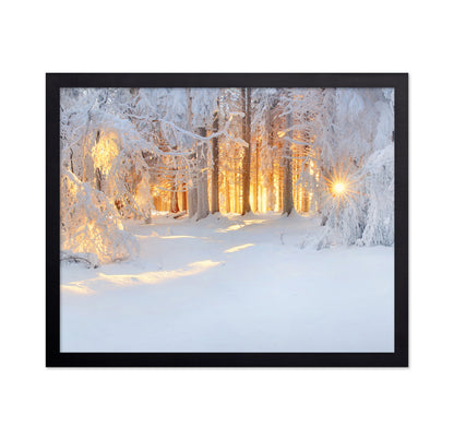 Golden Winter Morning