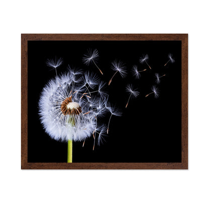 Dandelion Blowing No 1