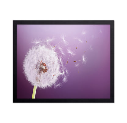 Dandelion Flying
