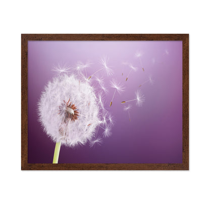 Dandelion Flying