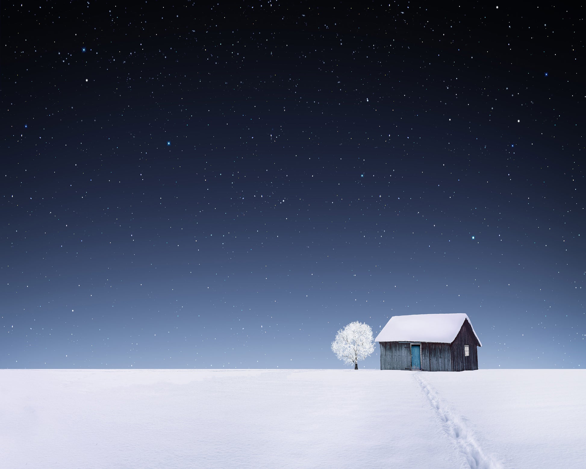 Winter No 1