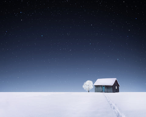 Winter No 1